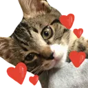 dori_heart