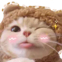 angelCCsillycat angelCCsillycat