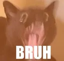 Catbruh catbruh Discord Emoji