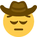 cowboypensive