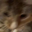 SPEEDY