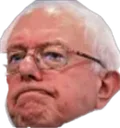 bernie_approved_disappointed