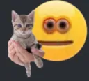 oiwantacat Discord Emoji