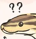 confuse