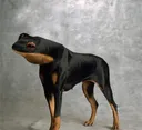 meh