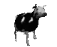 polishcow