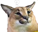x_flopp_huh x_flopp_huh