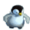 penguindance