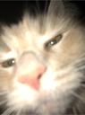 wassup Discord emoji