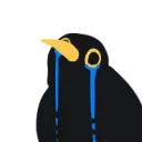 crowsob