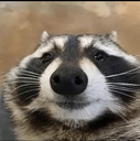 ok_bruh Discord emoji