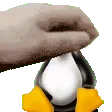 LinuxPet