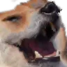 magikkek magikkek