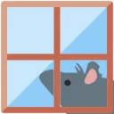 rat_window