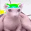 bingusEYEPAIN