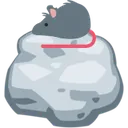 rat_on_rock