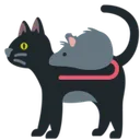 rat_and_black_cat