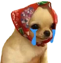 sadboi sadboi