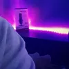sharky_2_2