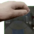 petthehom