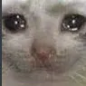SadCat