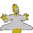 HomerSpin