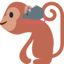 rat_and_monkey