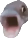 POGFISH