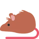 rat_brown