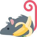 rat_monkey