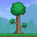 Terraria2