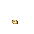 EXPLOSION
