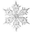 SnowflakeSilver