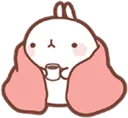 cozybunny