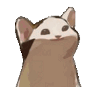 Cat Mouth catmouth Discord Emoji