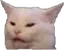 catwhat