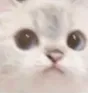 RGwut