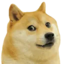 Doge doge Discord Emoji
