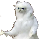 catwhy