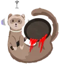 ferretban ferretban
