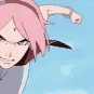 sakura02