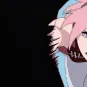 sakura01 sakura01