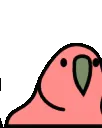 DiscoBirds