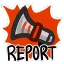 report report