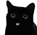 tato
