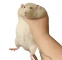HandGreed HandGreed