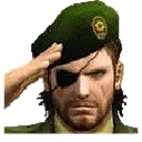 salute