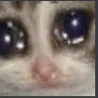 pleadcry