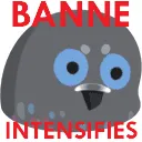 BANNEINTENSIFIES