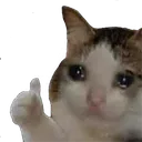 ishokay